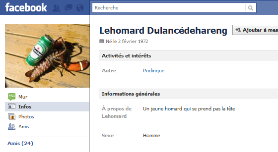 Profil Facebook Lehomard Dulancédehareng